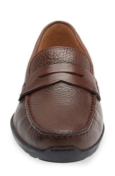 Shop Samuel Hubbard Free Spirit For Him Loafer In Brown Leather