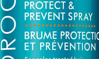Shop Moroccanoilr Protect & Prevent Spray, 5.4 oz