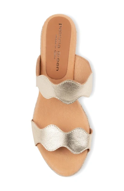 Shop Patricia Green Palm Beach Espadrille Wedge Sandal In Gold