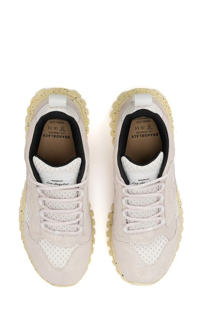 Shop Brandblack Ojai Sneaker In White Grey Speckle