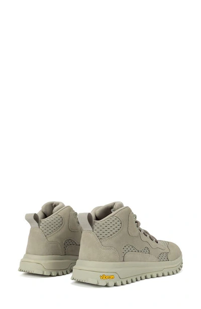 Shop Brandblack Santa Monica Running Shoe In Cement