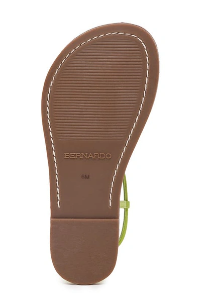 Shop Bernardo Footwear Bernardo Lilly Sandal In Citron