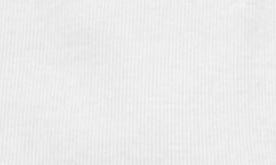 Michael Stars Amara Crop Tee In White