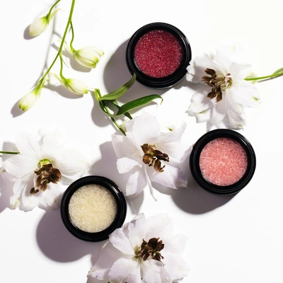 Henne Organics Nordic Berries Lip Exfoliator In Default Title