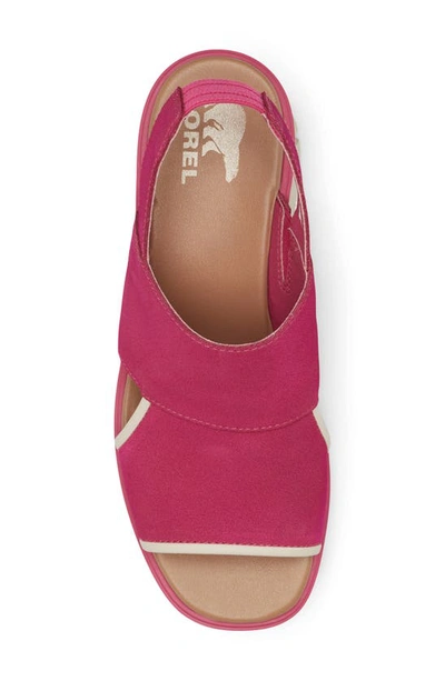 Shop Sorel Joanie Iii Slingback Wedge Sandal In Fuchsia Fizz/ Chalk