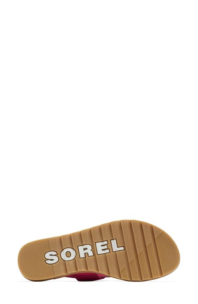 Shop Sorel Ella Ii Strappy Slide Sandal In Fuchsia Fizz/ Sea Salt