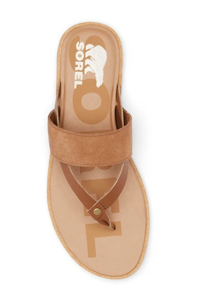 Shop Sorel Ella Ii Strappy Slide Sandal In Velvet Tan/ Gum 2