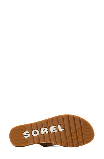 Shop Sorel Ella Ii Strappy Slide Sandal In Velvet Tan/ Gum 2