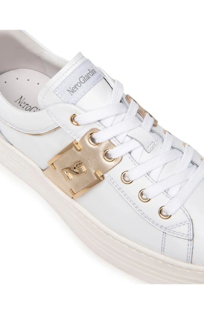 Shop Nerogiardini Logo Plate Platform Sneaker In White / Gold