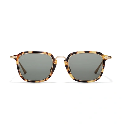 Shop Taylor Morris Eyewear Denbigh Sunglasses