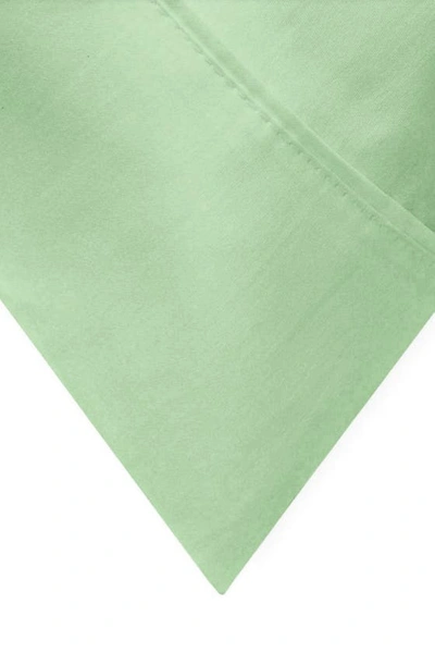 Ella Jayne Home Stone Cotton Sateen 500 Thread Count Sheet Set In Olive