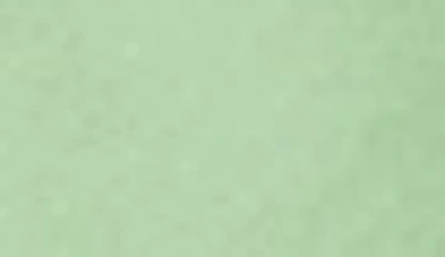 Ella Jayne Home Stone Cotton Sateen 500 Thread Count Sheet Set In Olive