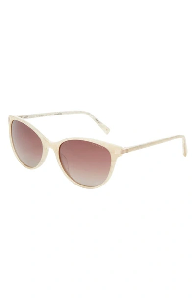 Ted Baker 56mm Cat Eye Sunglasses In Bone