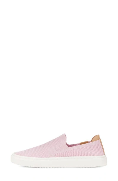 Shop Ugg Alameda Sammy Slip-on Sneaker In Seashell Pink