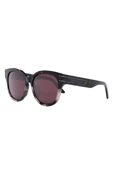 Shop Dior Signature B6f 55mm Round Sunglasses In Dark Havana / Bordeaux