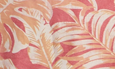 Artesands Plus Size Delacroix Swimdress In Coral