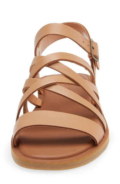 Shop Toms Sephina Strappy Sandal In Brown
