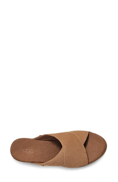 Shop Ugg Abbot Wedge Slide Sandal In Chestnut