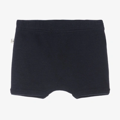 Shop 1+ In The Family 1 + In The Family Navy Blue Cotton Jersey Shorts