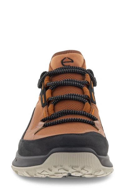 Shop Ecco Ult-trn Low Waterproof Hiking Shoe In Black/ Cognac