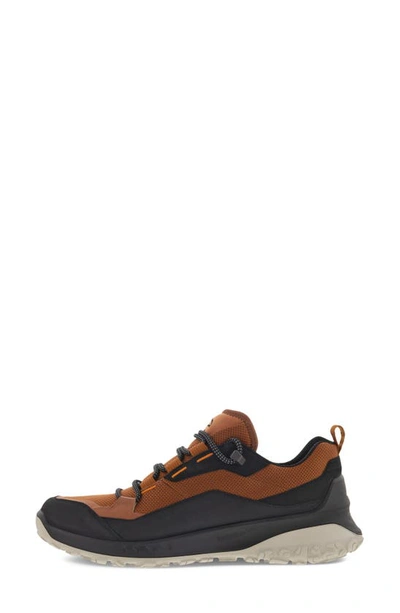 Shop Ecco Ult-trn Low Waterproof Hiking Shoe In Black/ Cognac