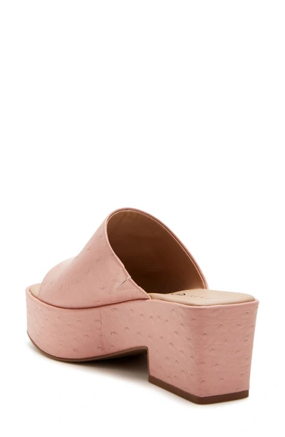 Shop Katy Perry The Busy Bee Platform Sandal In Vintage Pink