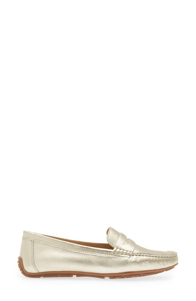 Shop The Flexx Penny Driving Loafer In Platino