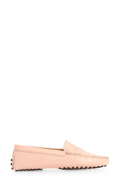 Shop Tod's Gommini Driving Penny Loafer In Coral Cloud