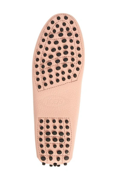 Shop Tod's Gommini Driving Penny Loafer In Coral Cloud