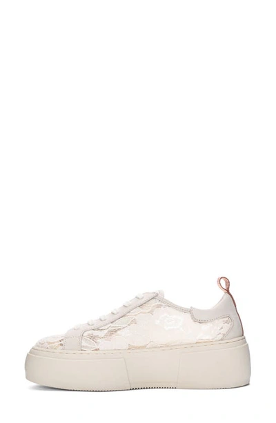 42 Gold Glee Lace Platform Sneaker In Cream
