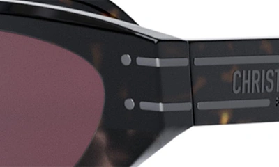Shop Dior 'signature B5i 51mm Cat Eye Sunglasses In Dark Havana / Bordeaux