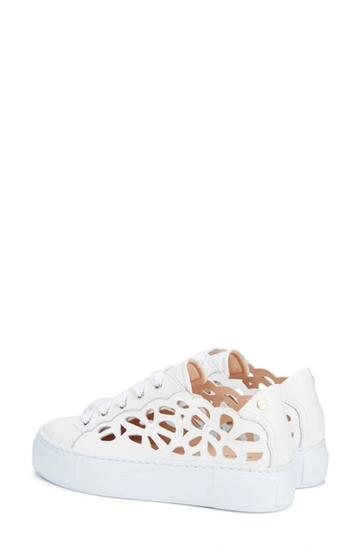 Shop Agl Attilio Giusti Leombruni Mandi Cutout Platform Sneaker In White-white