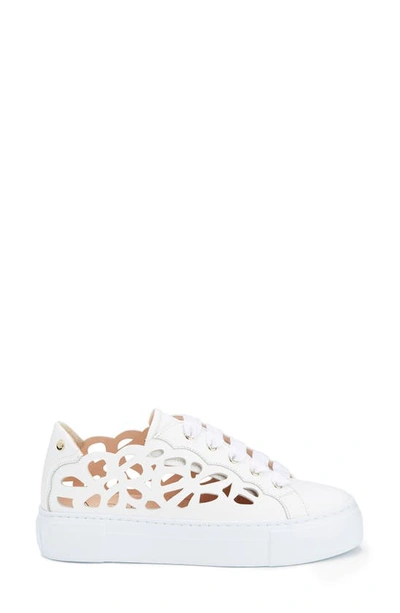 Shop Agl Attilio Giusti Leombruni Mandi Cutout Platform Sneaker In White-white
