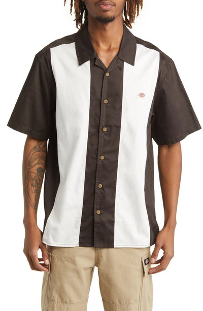 Shop Dickies Westover Stripe Short Sleeve Button-up Camp Shirt In Dark Brown