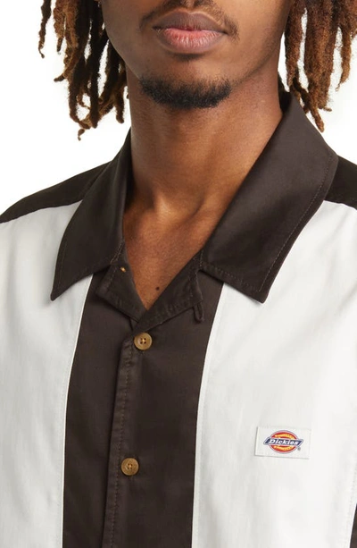 Shop Dickies Westover Stripe Short Sleeve Button-up Camp Shirt In Dark Brown