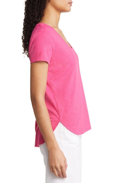 Shop Tommy Bahama Ashby Isles Curve Hem T-shirt In Bright Blush