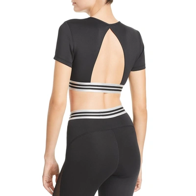 Shop Kendall + Kylie Womens Contrast Trim Short Sleeves Crop Top In Black