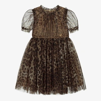 Shop Dolce & Gabbana Girls Brown Leopard Print Tulle Dress
