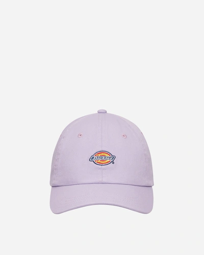 Shop Dickies Hardwick Cap In Purple