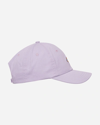 Shop Dickies Hardwick Cap In Purple