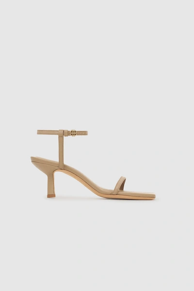 Shop Anine Bing Invisible Sandals In Butterscotch In Nude