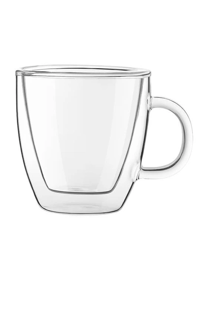 Shop Joyjolt Savor Double Wall Insulated Mug In Clear