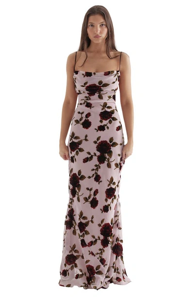 House Of Cb Serena Floral Velvet Burnout Maxi Dress In Light Pink