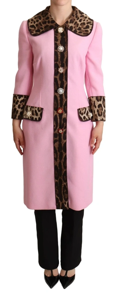 Shop Dolce & Gabbana Pink Leopard Wool Trenchcoat Jacket