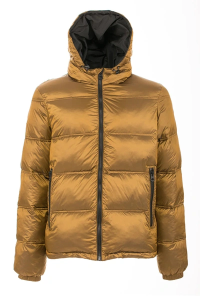 Shop Fred Mello Hooded Zip  Closure Jacket In Yellow