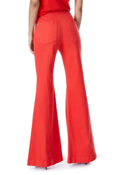 Shop Alice And Olivia Pintuck Stretch Cotton Trousers In Chili Pepper