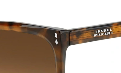 Shop Isabel Marant In Love 57mm Gradient Square Sunglasses In Havana/ Brown Gradient