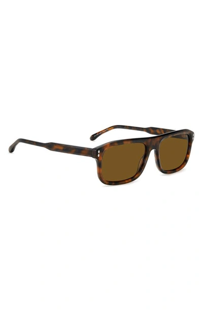 Shop Isabel Marant In Love 56mm Flat Top Sunglasses In Havana Brown
