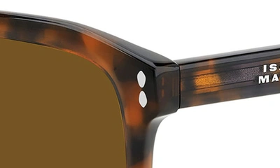 Shop Isabel Marant In Love 56mm Flat Top Sunglasses In Havana Brown