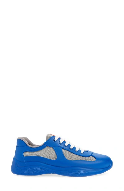 Shop Prada America's Cup Low Top Sneaker In Azzurro